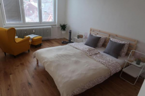 Luxurious apartment 3 min walk to city center - snack, beverages included in price